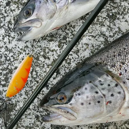 Rundbergs Сasa de vacaciones *