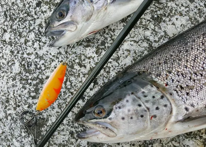 Rundbergs Сasa de vacaciones *